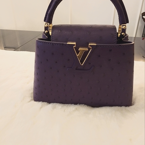 Louis Vuitton Ostrich Capucines Mini Purse - Picture 4 of 7